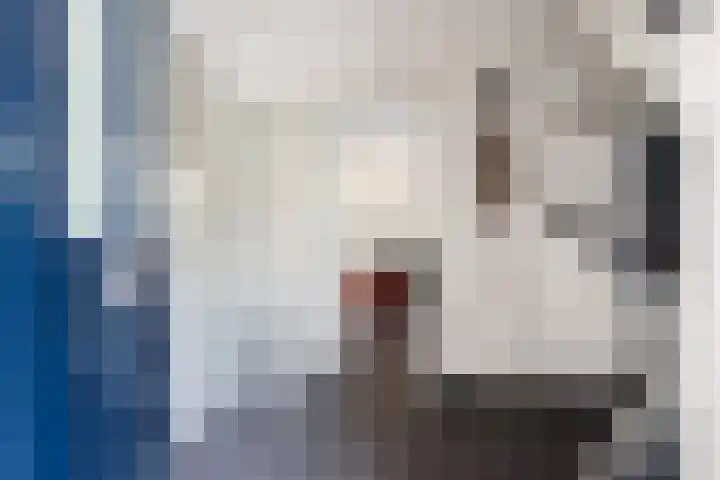 Thorbeckestraat 94 Zaltbommel thumbnail 6