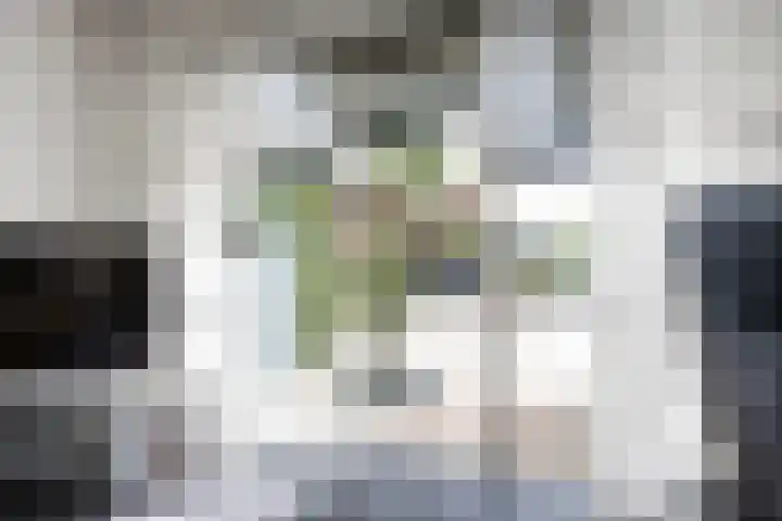 Thorbeckestraat 94 Zaltbommel thumbnail 9