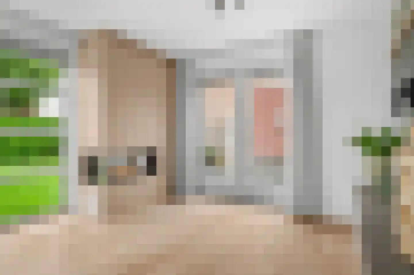 Thorbeckestraat 96 Olst thumbnail 15