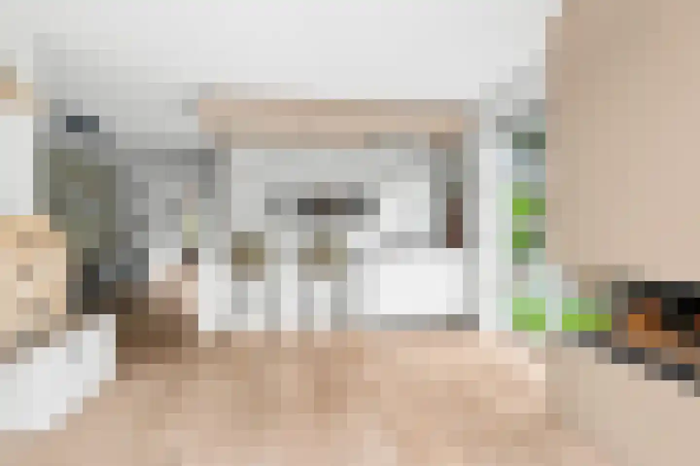 Thorbeckestraat 96 Olst thumbnail 17