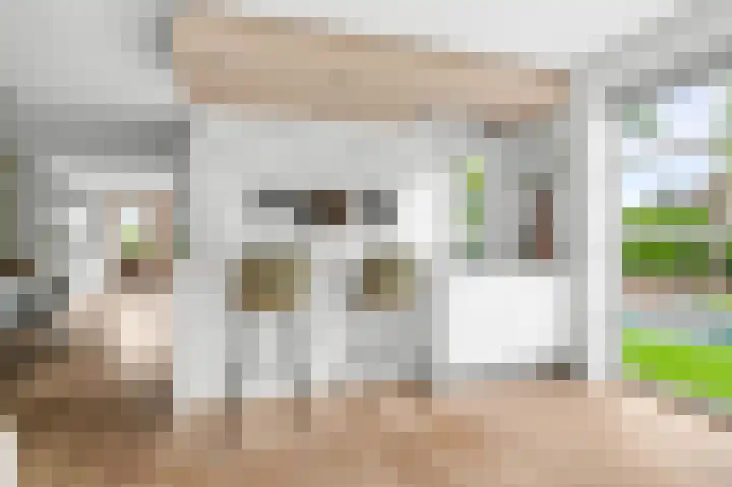 Thorbeckestraat 96 Olst thumbnail 18