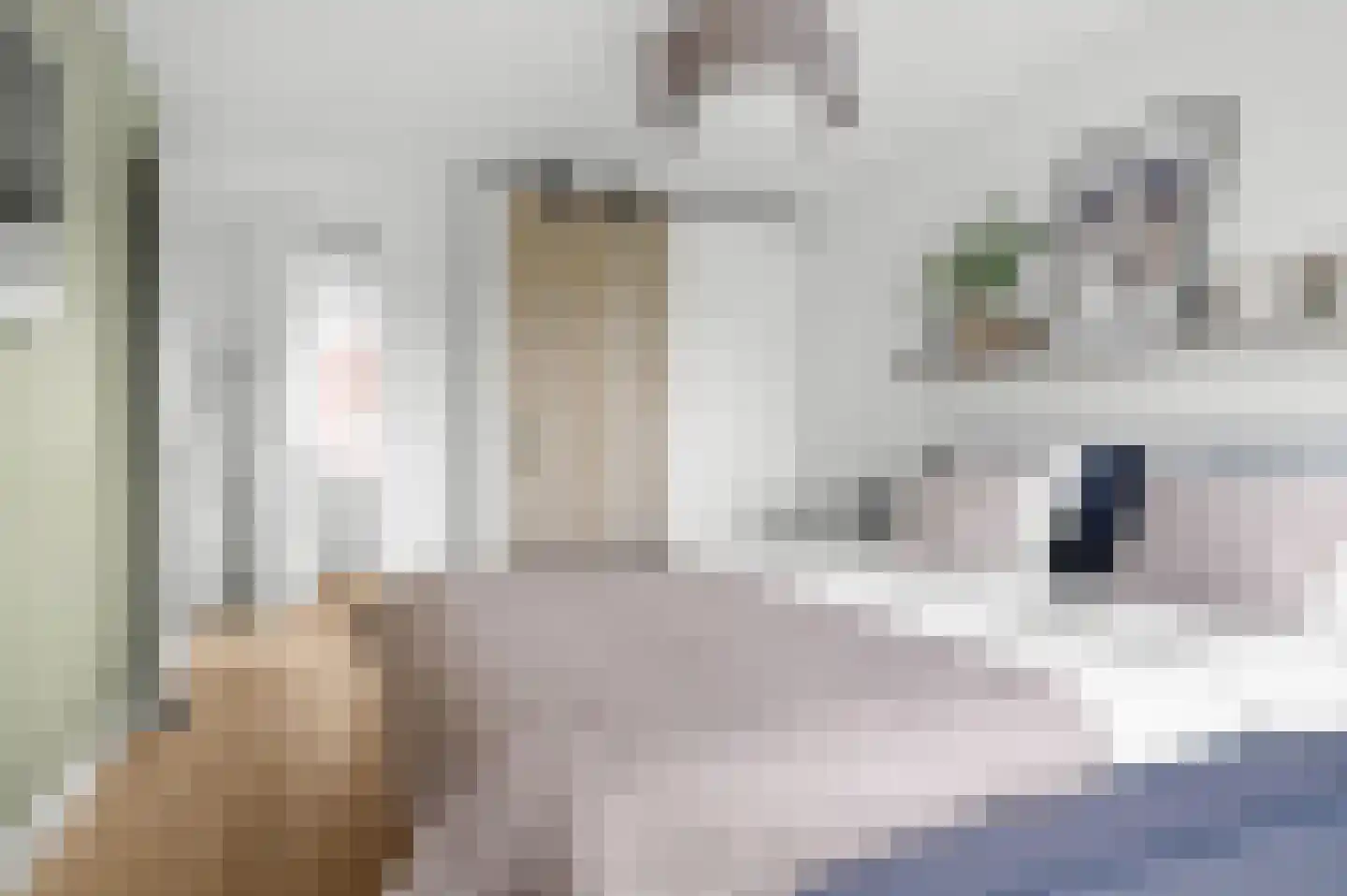 Thorbeckestraat 96 Olst thumbnail 22