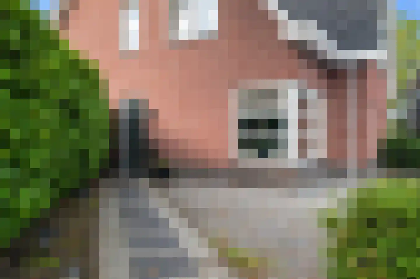Thorbeckestraat 96 Olst thumbnail 45