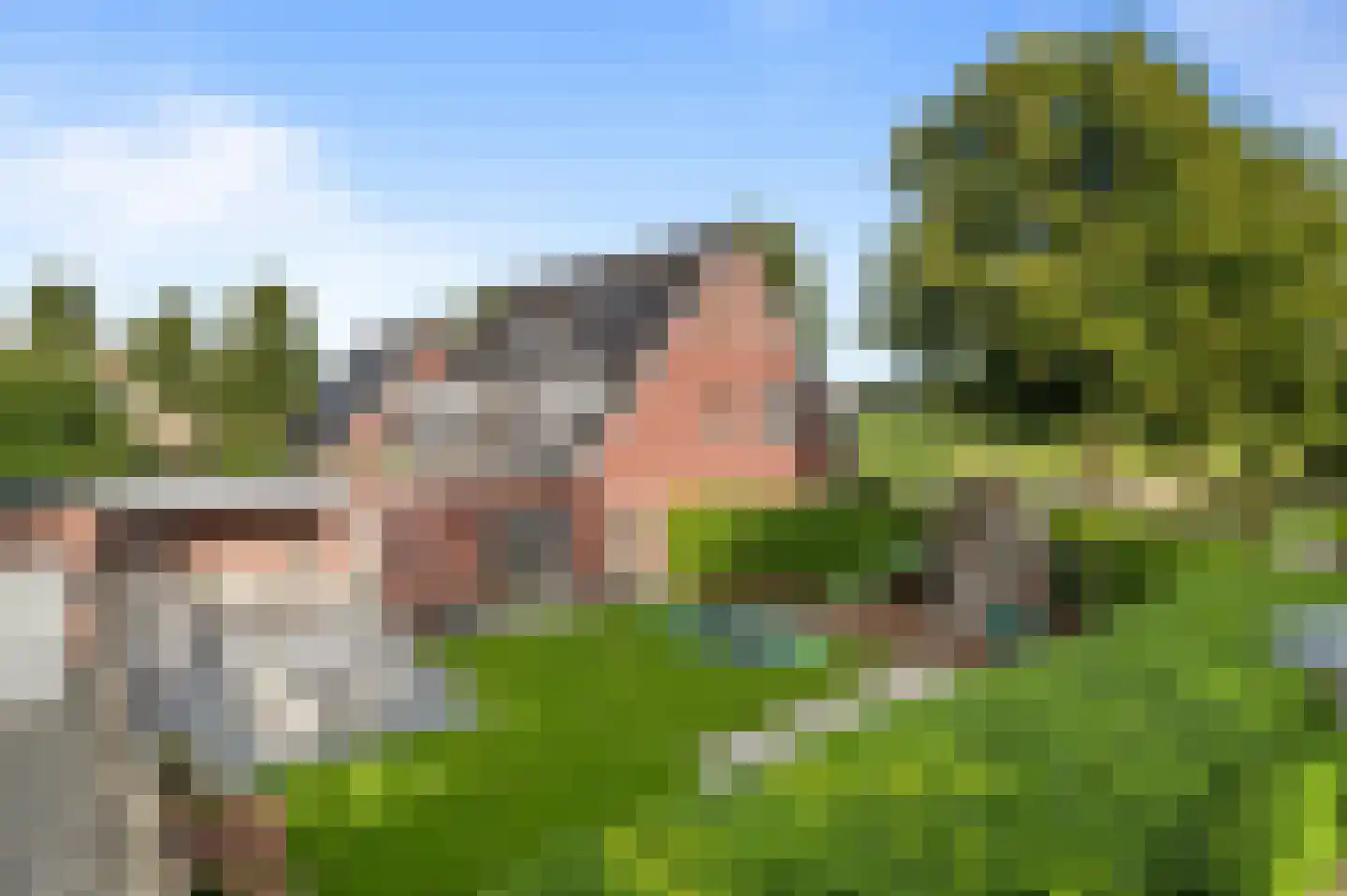 Thorbeckestraat 96 Olst thumbnail 5
