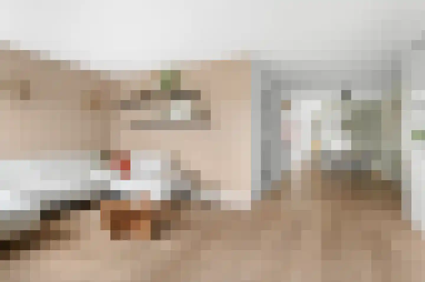 Thorbeckestraat 96 Olst thumbnail 9