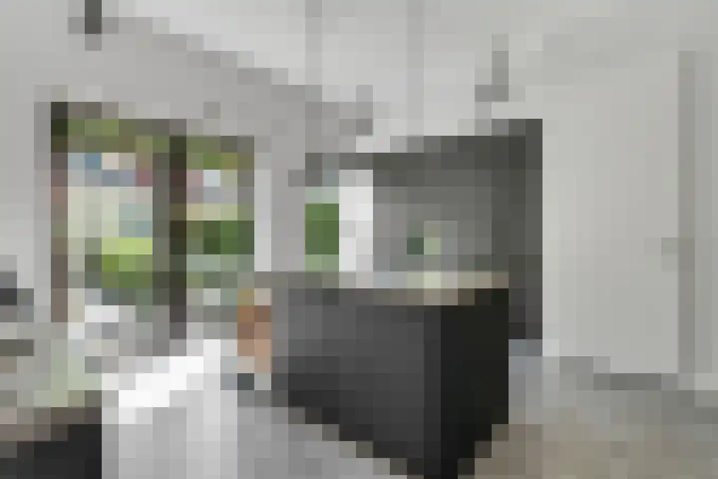 Thorbeckewal 11 Zwolle thumbnail 12