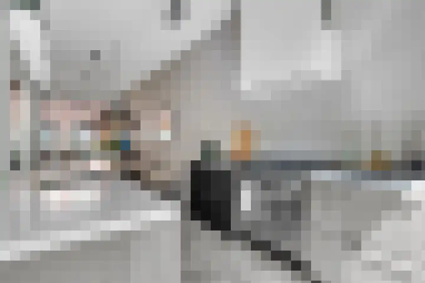 Thorbeckewal 11 Zwolle thumbnail 14