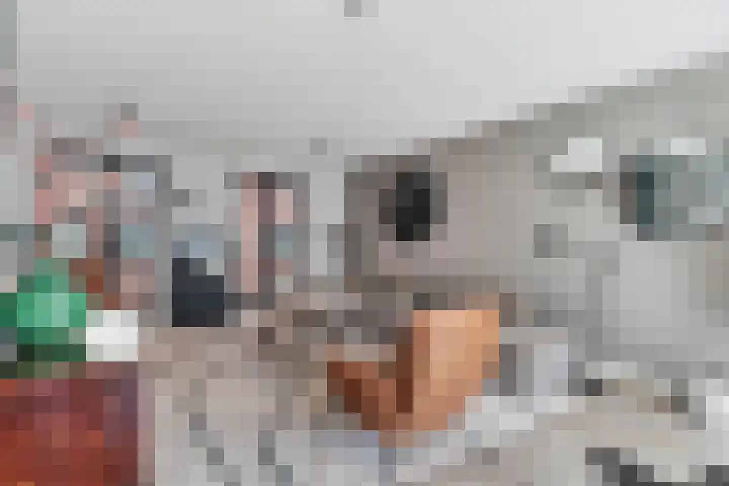Thorbeckewal 11 Zwolle thumbnail 19