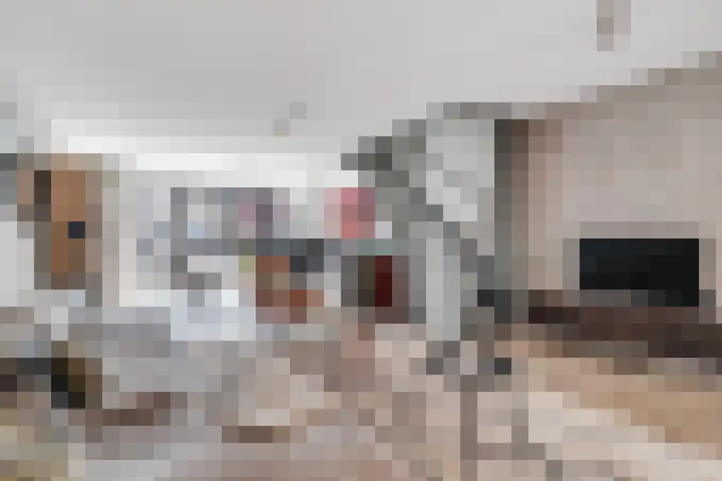 Thorbeckewal 11 Zwolle thumbnail 22