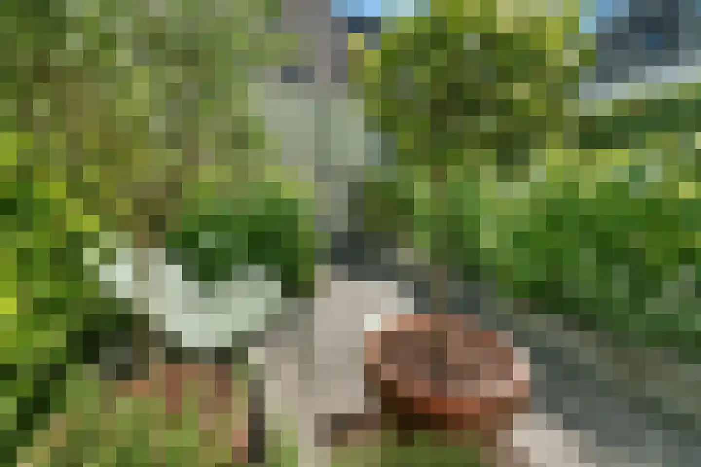 Thorbeckewal 11 Zwolle thumbnail 43