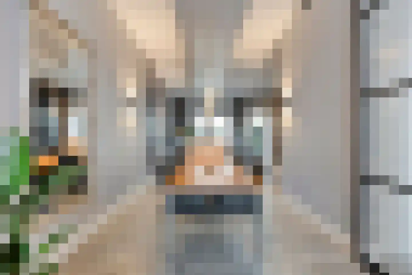 Thorbeckewal 15 Zwolle thumbnail 10