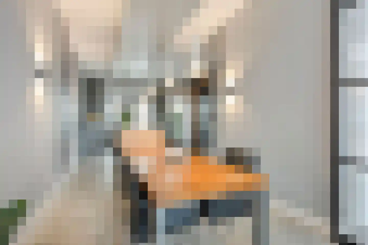 Thorbeckewal 15 Zwolle thumbnail 11