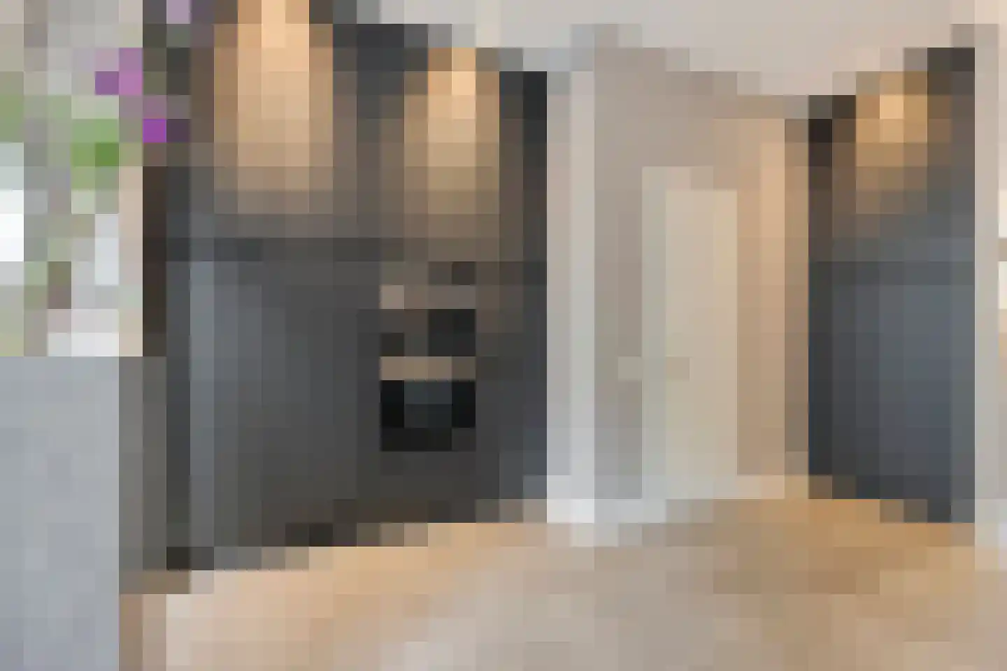 Thorbeckewal 15 Zwolle thumbnail 13