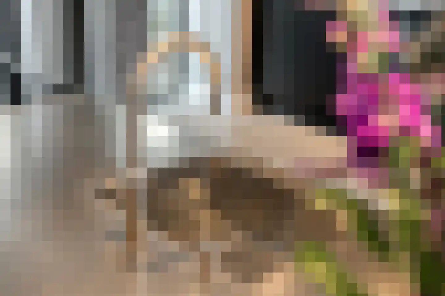 Thorbeckewal 15 Zwolle thumbnail 15