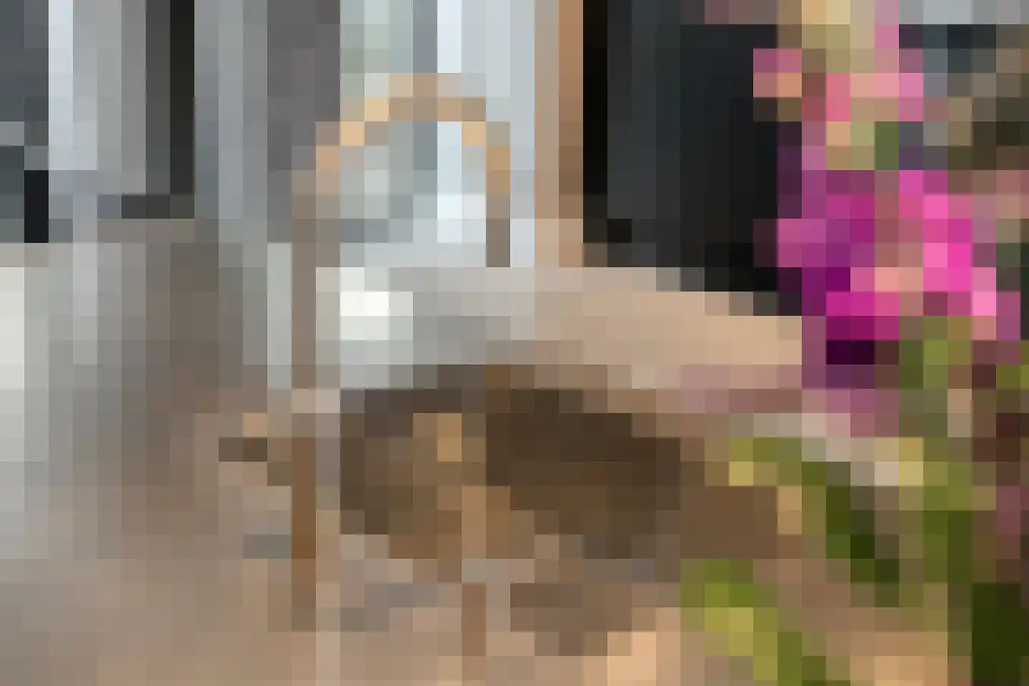 Thorbeckewal 15 Zwolle thumbnail 17