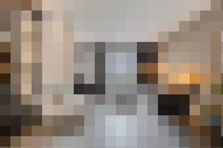 Thorbeckewal 15 Zwolle thumbnail 21