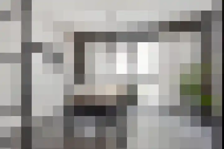 Thorbeckewal 15 Zwolle thumbnail 26