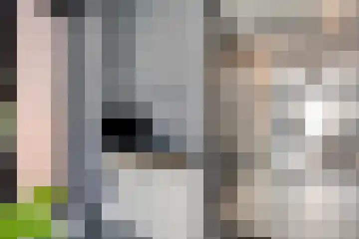 Thorbeckewal 15 Zwolle thumbnail 28