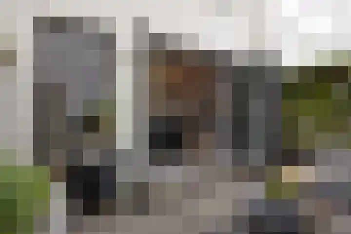 Thorbeckewal 15 Zwolle thumbnail 29