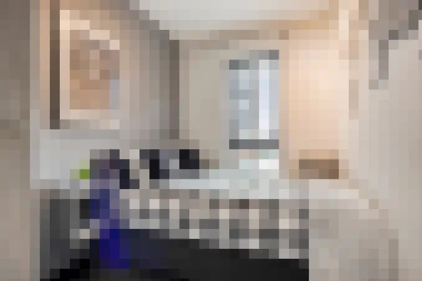 Thorbeckewal 15 Zwolle thumbnail 36