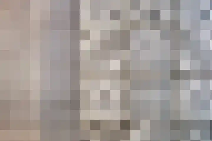 Thorbeckewal 15 Zwolle thumbnail 38