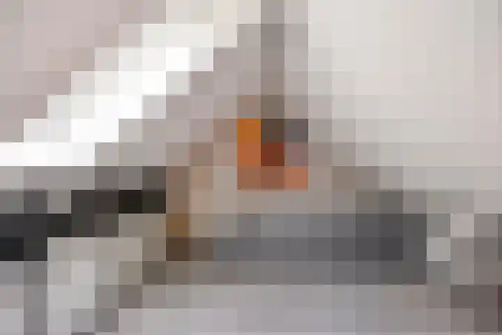 Thorbeckewal 15 Zwolle thumbnail 42