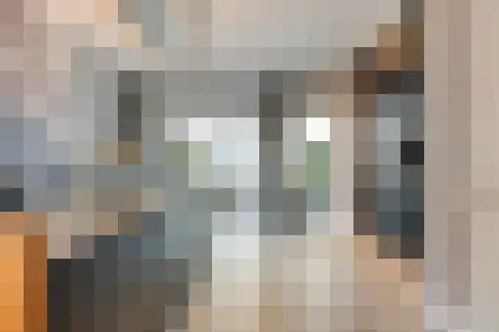 Thorbeckewal 15 Zwolle thumbnail 5