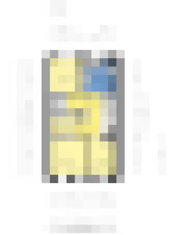 Thorbeckewal 15 Zwolle thumbnail 70