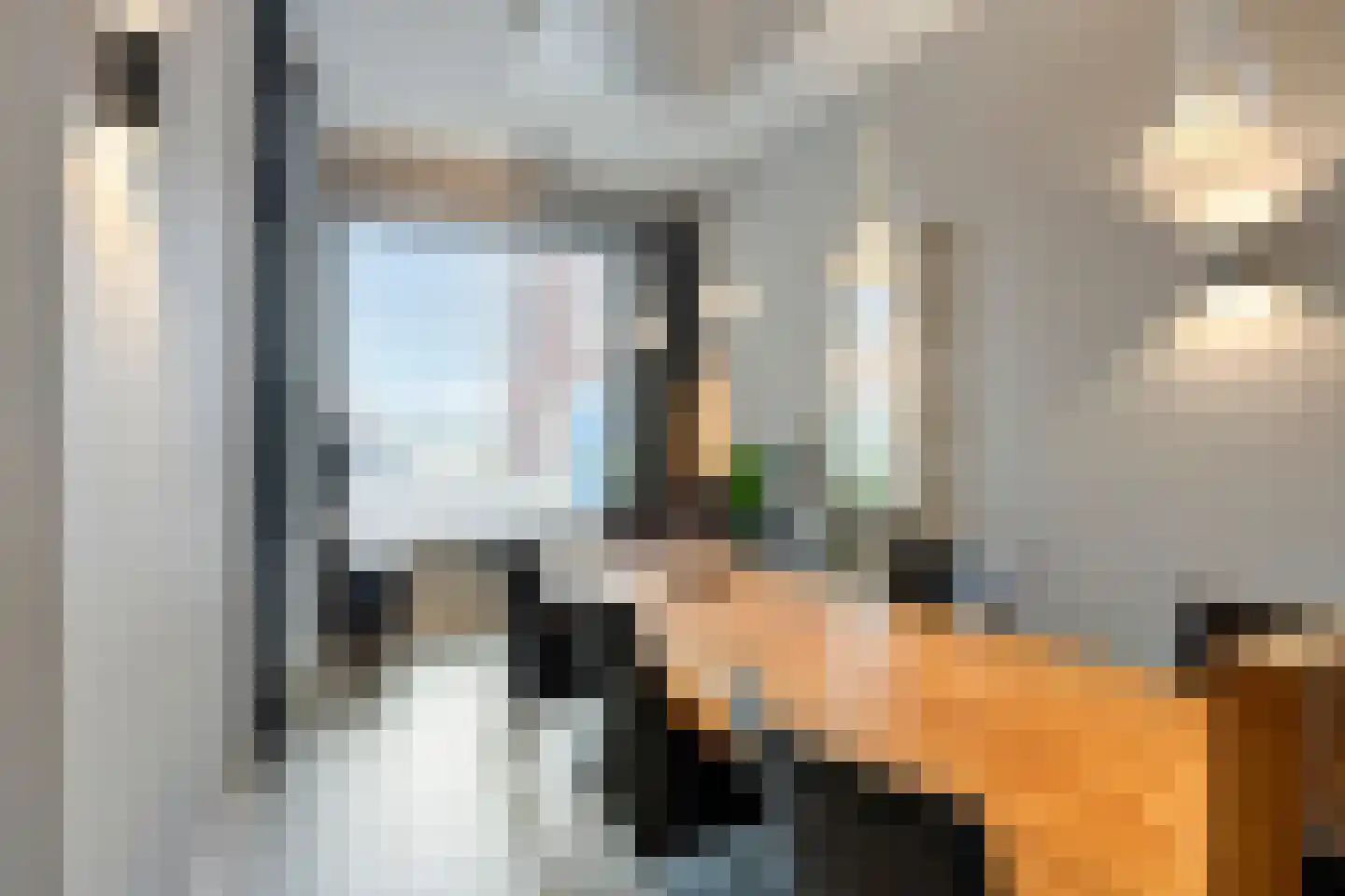 Thorbeckewal 15 Zwolle thumbnail 8