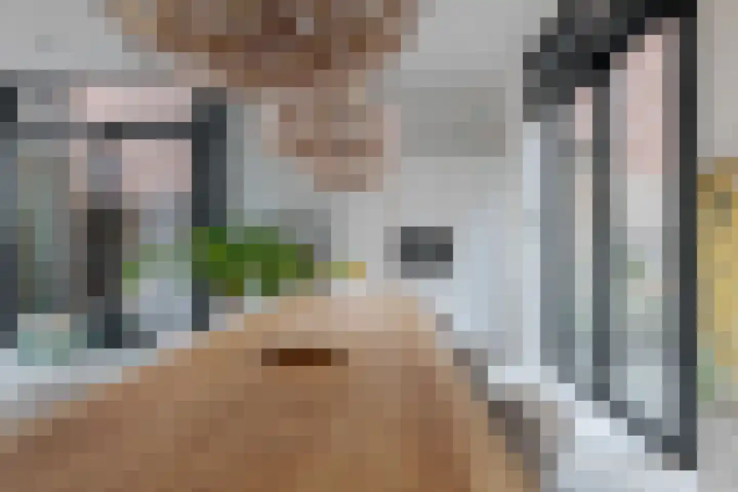 Thorbeckewal 49 Zwolle thumbnail 16