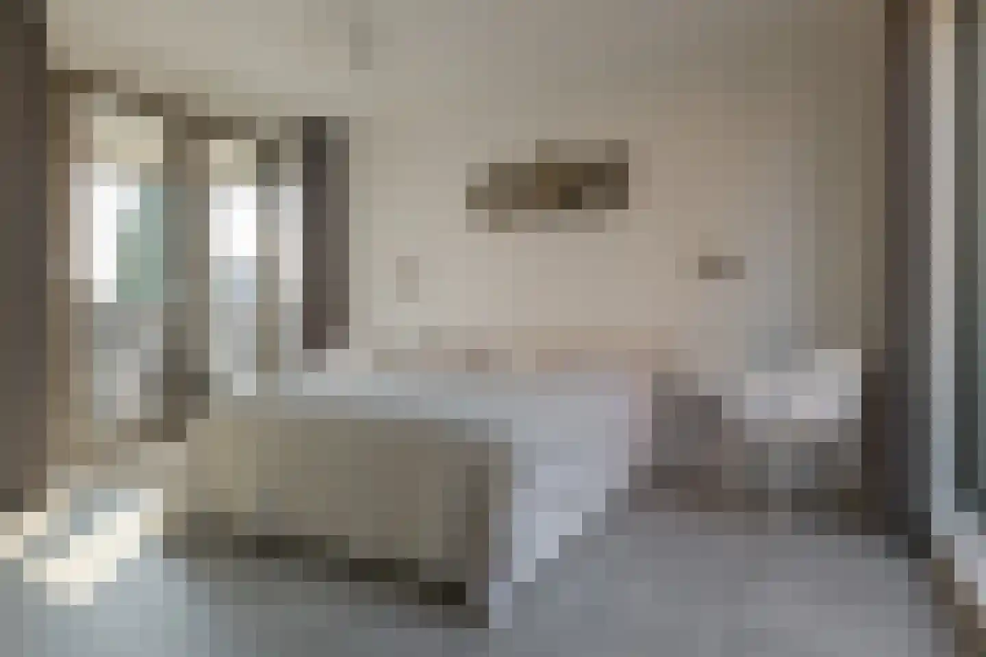 Thorbeckewal 49 Zwolle thumbnail 34