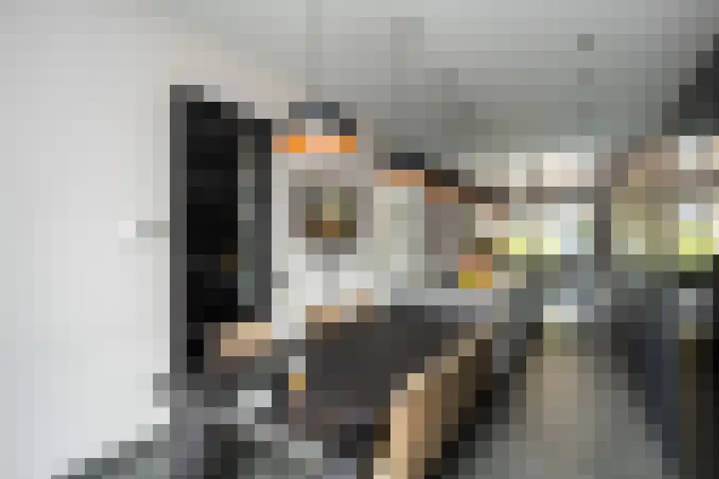 Thorbeckewal 61 Zwolle thumbnail 10