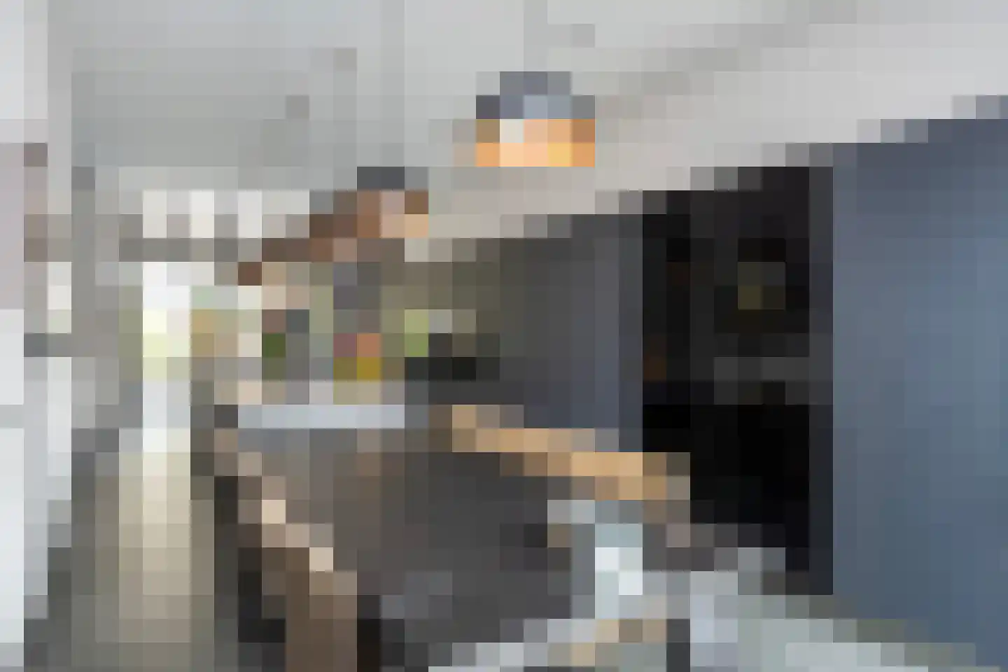 Thorbeckewal 61 Zwolle thumbnail 11