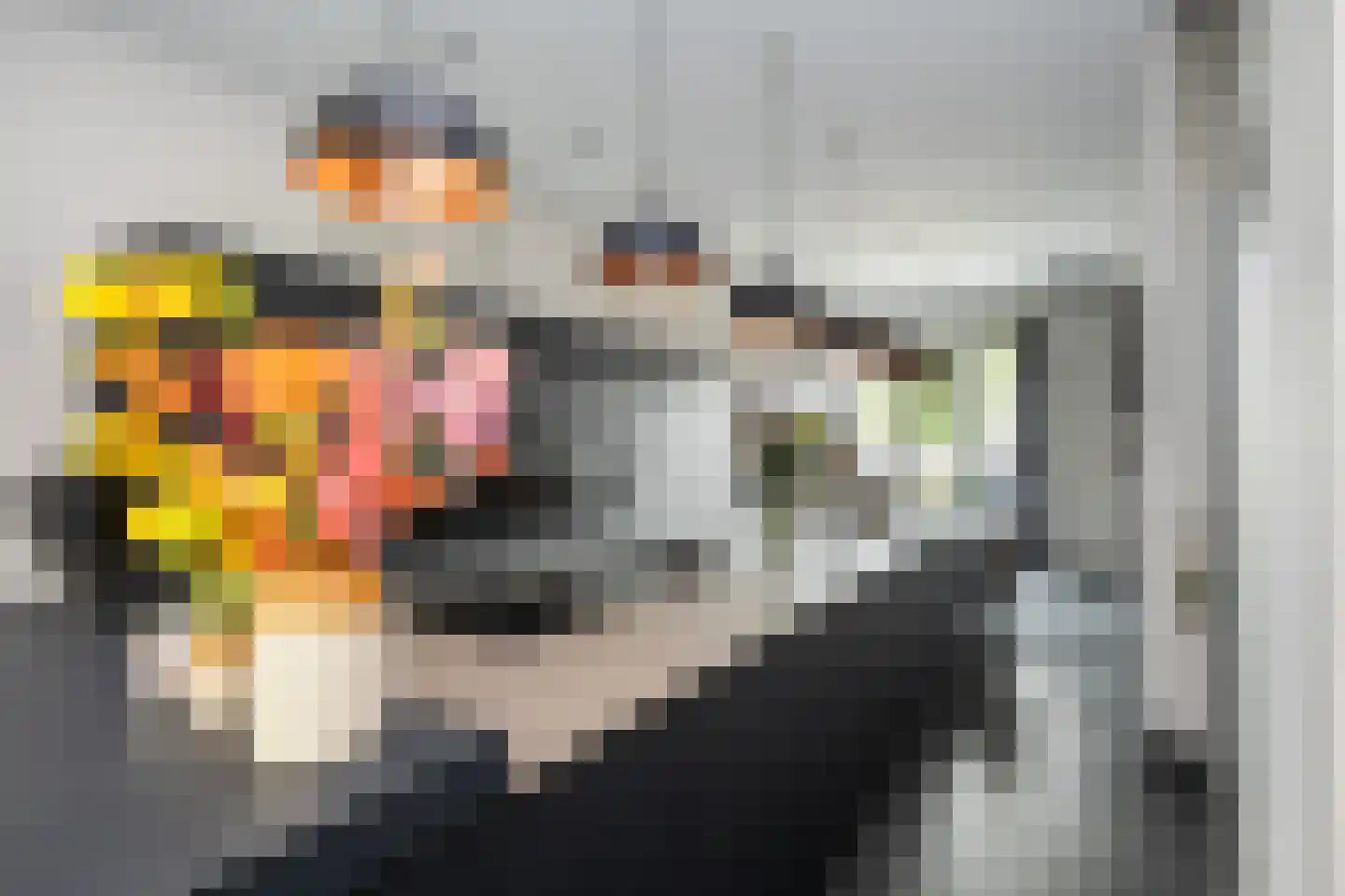 Thorbeckewal 61 Zwolle thumbnail 12