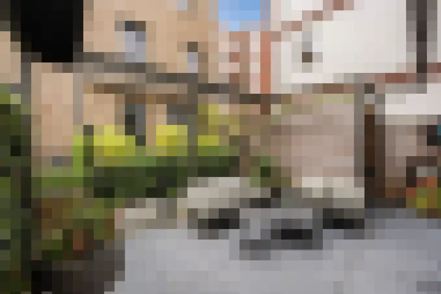Thorbeckewal 61 Zwolle thumbnail 14
