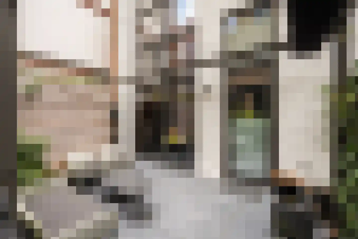 Thorbeckewal 61 Zwolle thumbnail 15