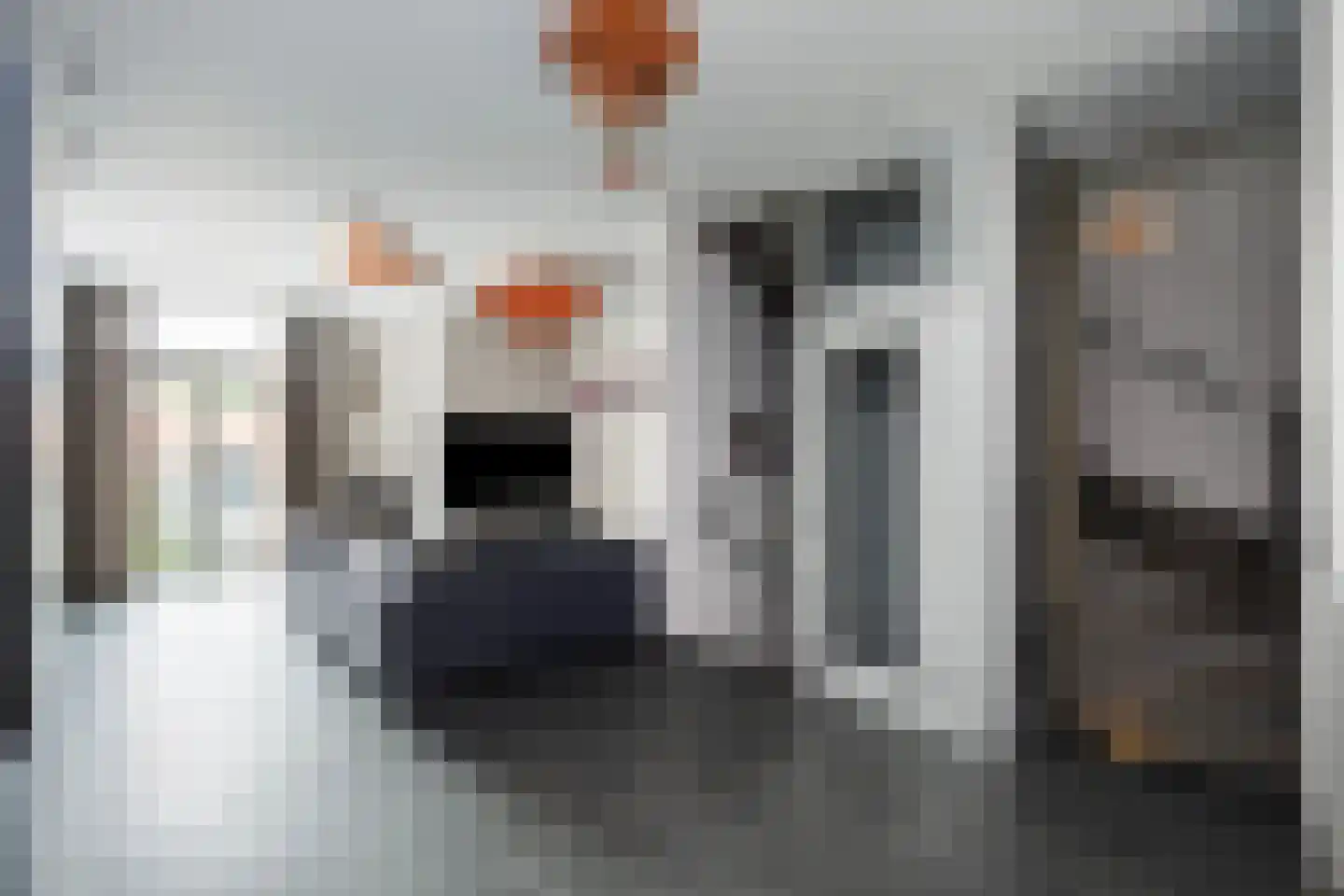 Thorbeckewal 61 Zwolle thumbnail 18