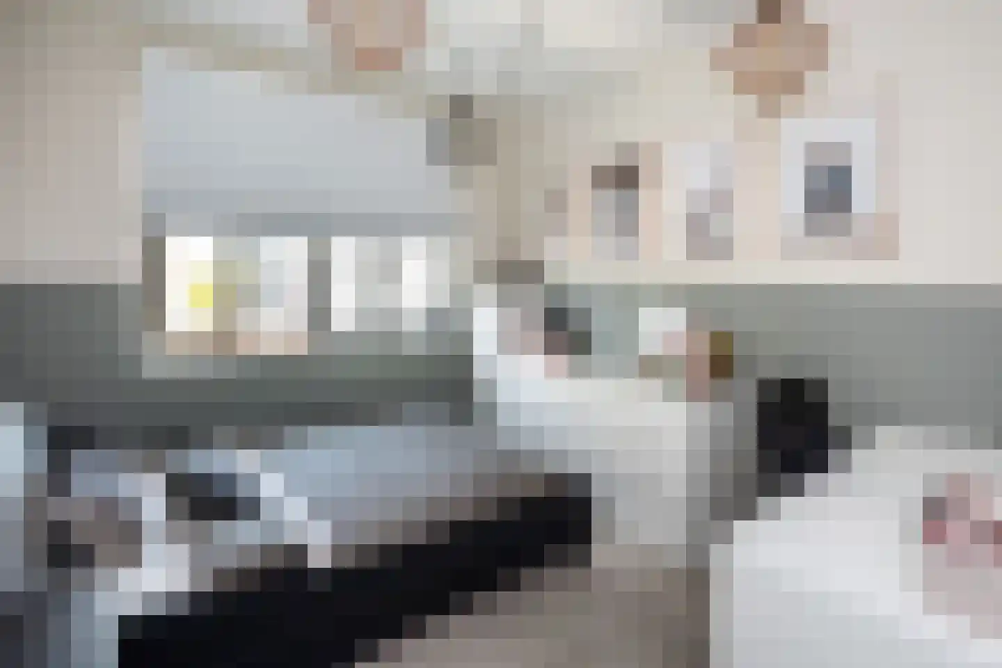 Thorbeckewal 61 Zwolle thumbnail 34
