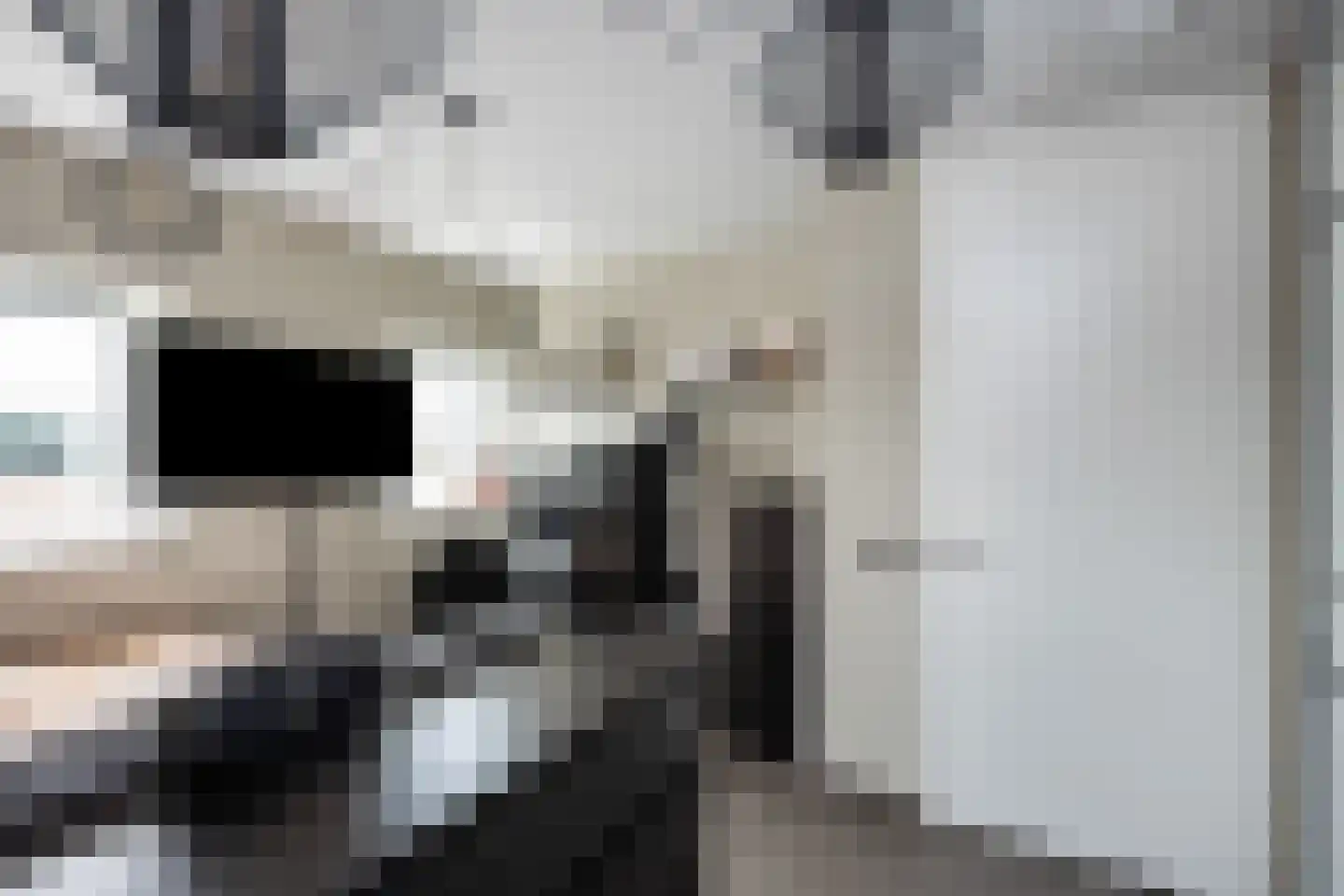 Thorbeckewal 61 Zwolle thumbnail 35