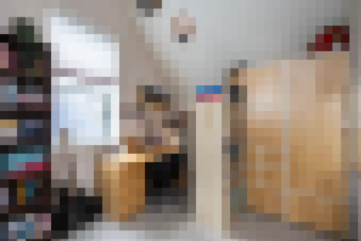 Thorbeckewal 61 Zwolle thumbnail 41