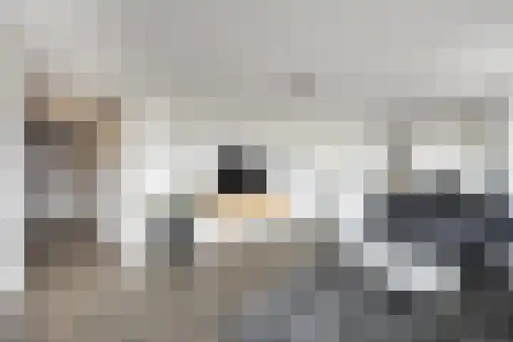 Thorbeckewal 80 Zwolle thumbnail 10