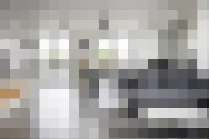 Thorbeckewal 80 Zwolle thumbnail 11