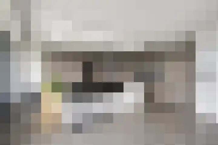 Thorbeckewal 80 Zwolle thumbnail 20