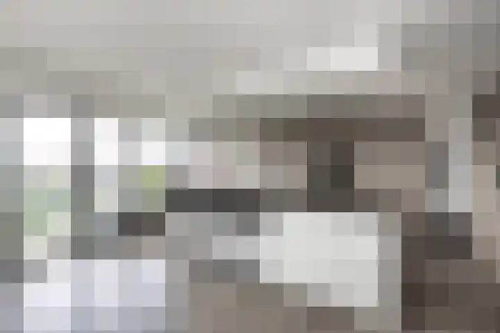 Thorbeckewal 80 Zwolle thumbnail 21