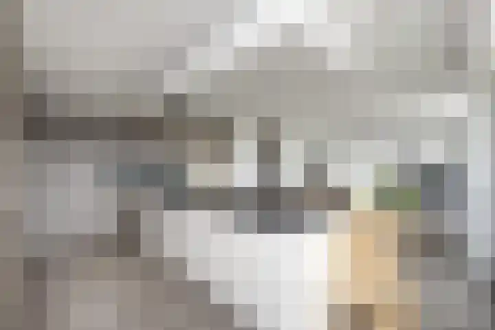 Thorbeckewal 80 Zwolle thumbnail 22