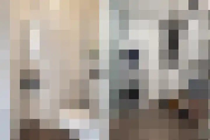 Thorbeckewal 80 Zwolle thumbnail 33