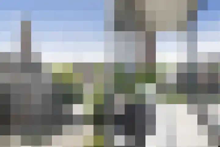 Thorbeckewal 80 Zwolle thumbnail 36