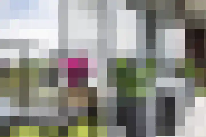 Thorbeckewal 80 Zwolle thumbnail 37