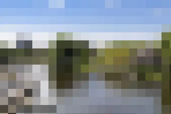 Thorbeckewal 80 Zwolle thumbnail 39