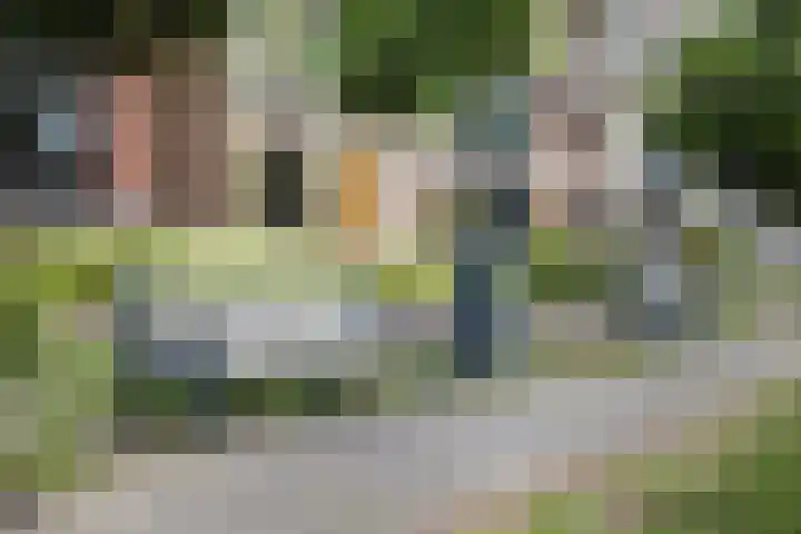 Thorbeckewal 80 Zwolle thumbnail 40